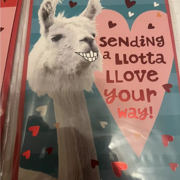 Lot of  Six Packages of Hallmark Valentine Cards - 2 Designs - 12 Cards - LOT #6 - Picture 5 of 5